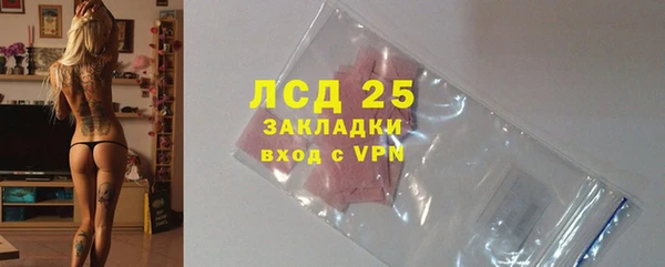 гидра Алексеевка