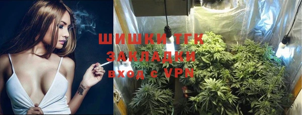 гидра Алексеевка