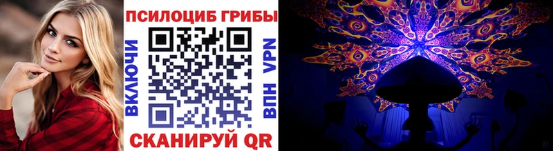Псилоцибиновые грибы мицелий Щигры